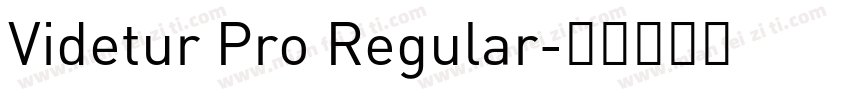 Videtur Pro Regular字体转换